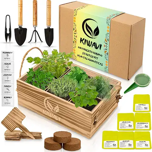Autocultivo Completo de Hierbas